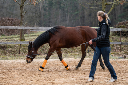 Sprizz Trainings-Set