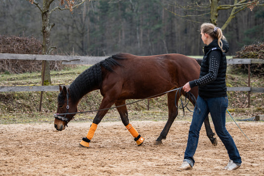 Sprizz Trainings-Set