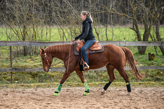 Limes Trainings-Set